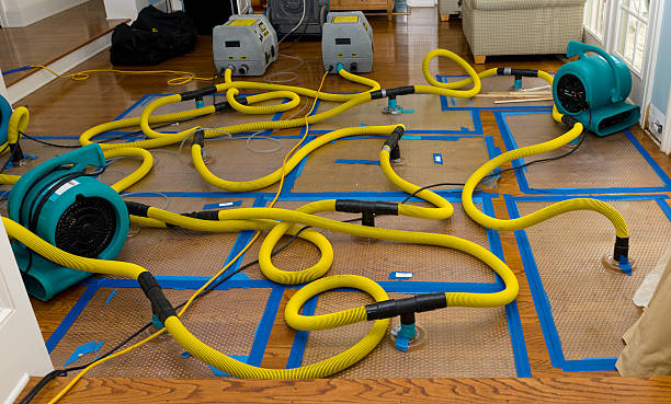 Professional Burst Pipe Water Damage technician working in Round Mountain, TX