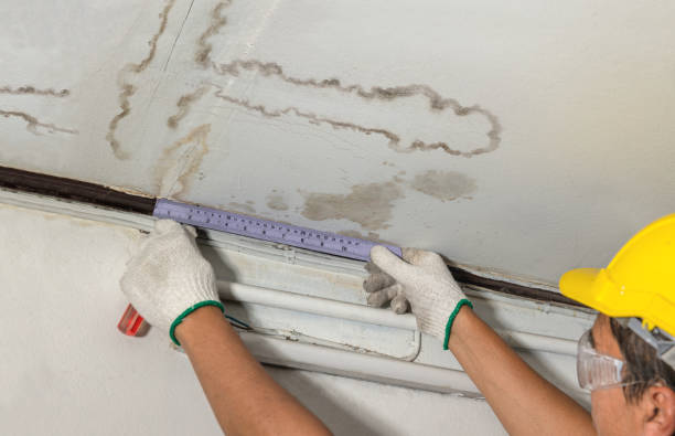 Affordable Burst Pipe Water Damage solutions in Round Mountain, TX